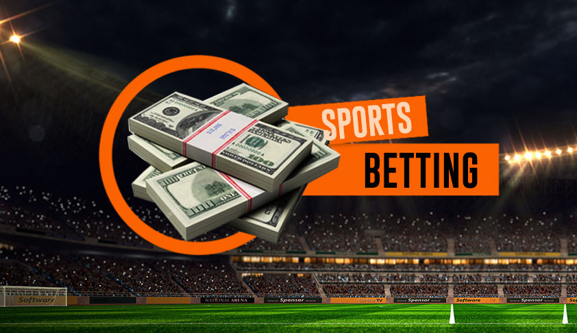 Exploring the Exciting World of Viva Bet 8