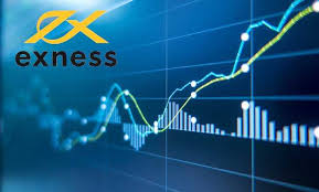 Understanding the Exness Program For Computers